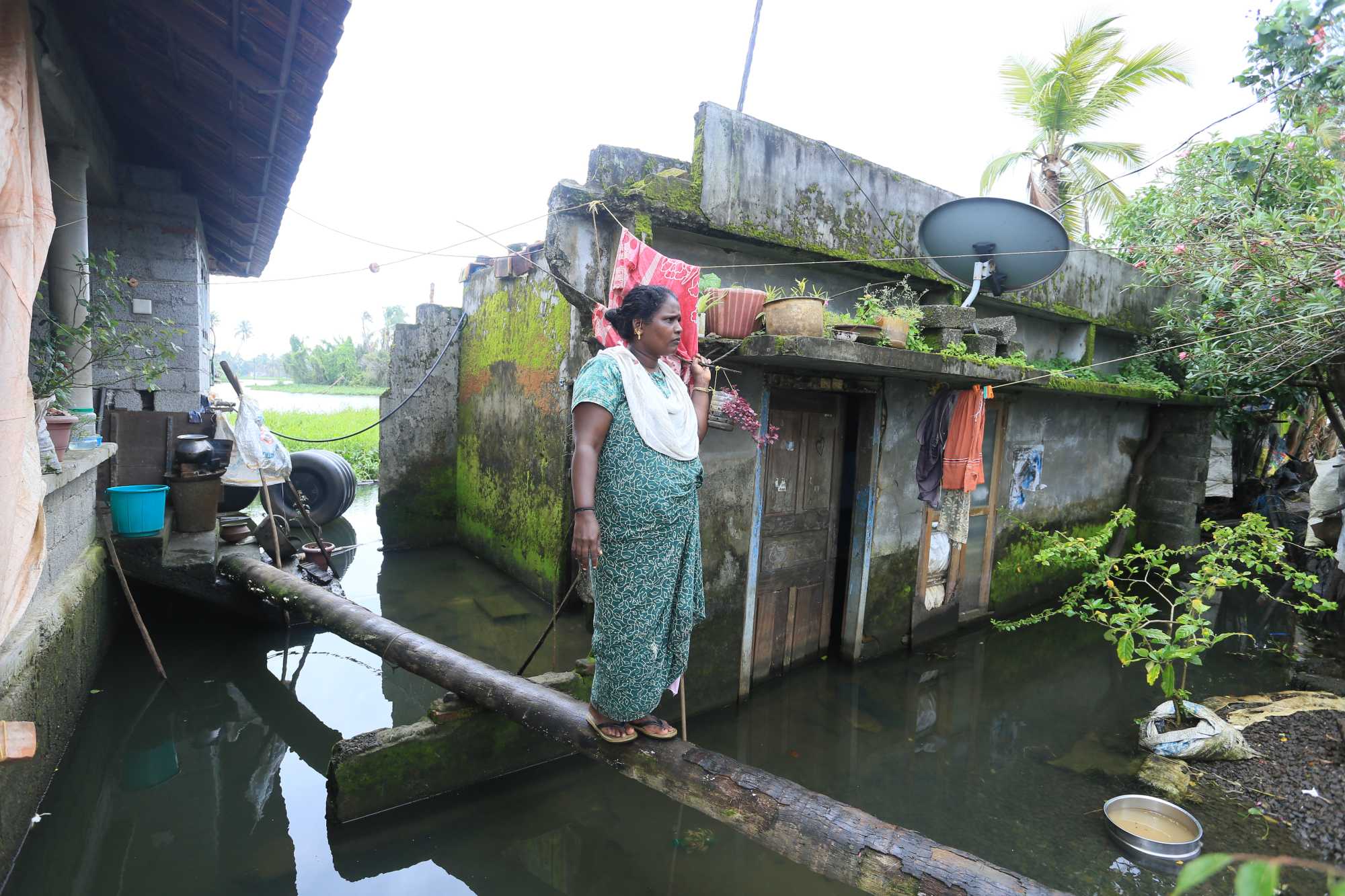 Kuttanad Wetland Interpretation Centre aims to transform tourism and conservation efforts