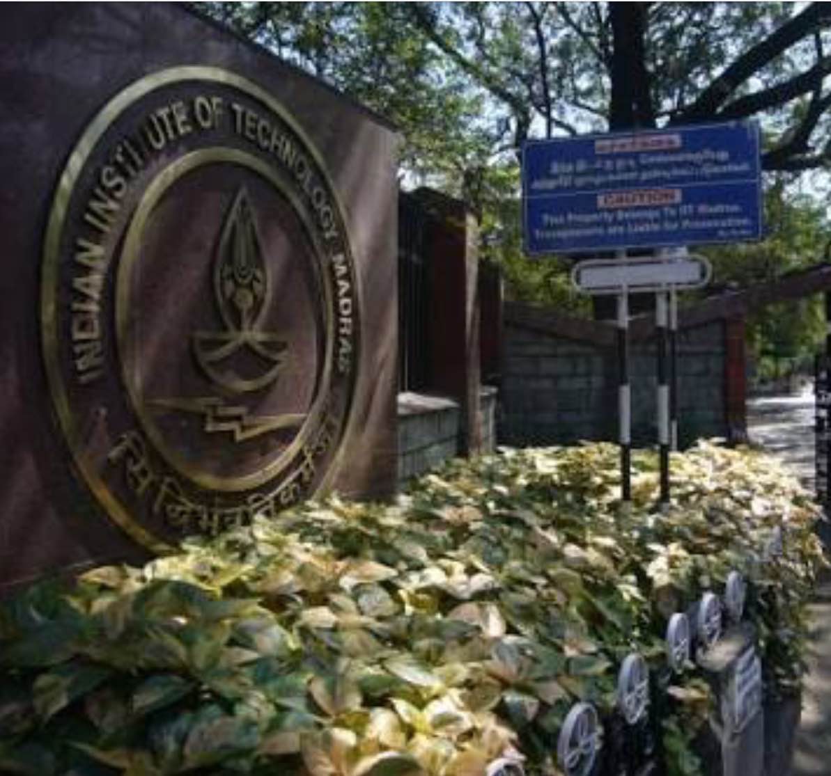 IITs, IIMs plan safety net for students after startup flip-flop
