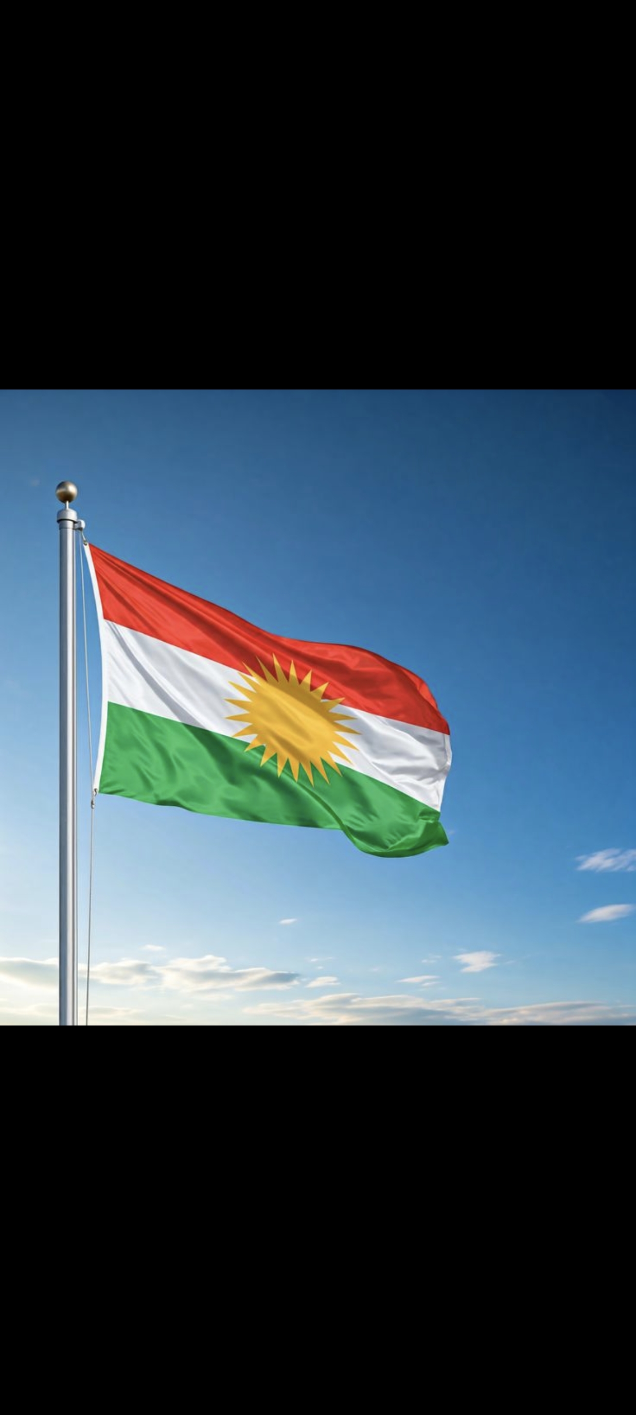 Syrian Kurds Face New Challenge to Protect Their Rights After SDF Disbandment