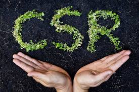 Overview of CSR Initiatives