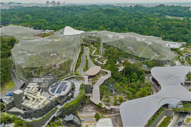 The soon-to-be-launched Bird Paradise in Singapore is set to enhance the list of tourist spots for visitors.