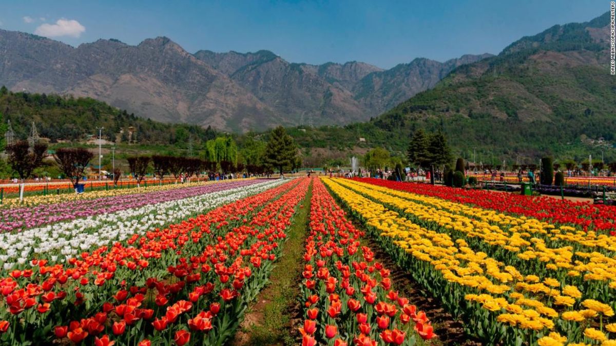 India’s Travel and Hospitality Sector Prepares for Kashmir’s Revival